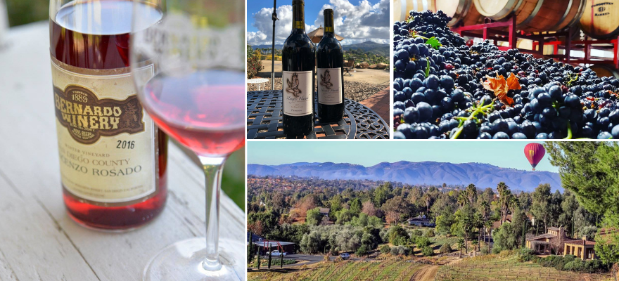 north county san diego wineries